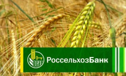 Процедура возврата страховки по кредиту в АО Российский Сельскохозяйственный банк