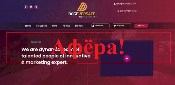 DogeVersace – реальные отзывы о https://dogeversace.com