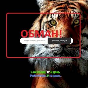 Tigra.fun — отзывы о плохом проекте