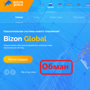 Bizon Global — отзывы о накопительной системе Bizon.global
