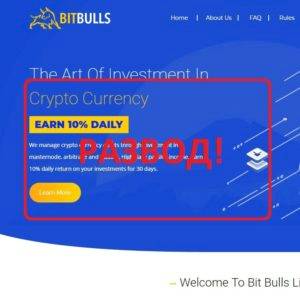 Bit Bulls — искусство инвестирования bitbulls.io. Отзывы