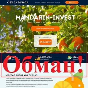 MANDARIN-INVEST – отзывы и обзор