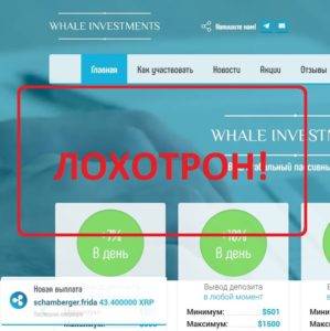 Проект Whale Investments — отзывы инвесторов