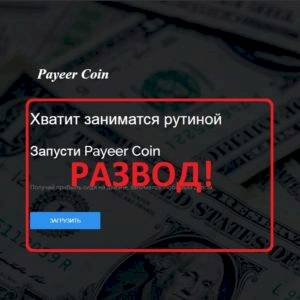 Отзыв о Payeer Coin – прибыль на диване
