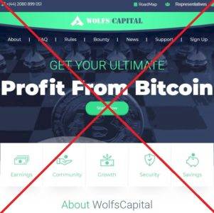 WolfsCapital — пирамида wolfscapital.com, реальные отзывы