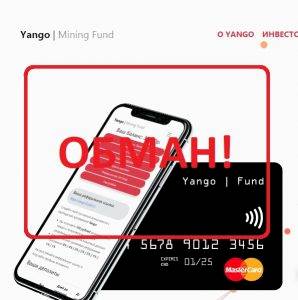 Yango Mining Fund — отзывы и обзор сервиса yango.fund