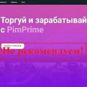 Pim Prime — торгуй и зарабатывай с pimprime.com