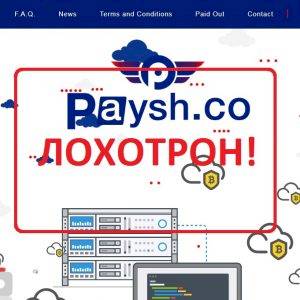 Paysh — отзывы о мошенниках paysh.co