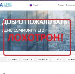 Alfie community — отзывы о проекте alfie.community